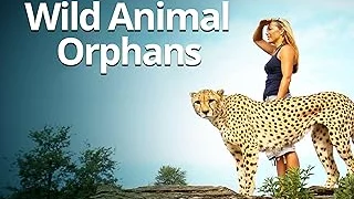 Best 5 Hope Animal Foundation