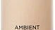 Best 5 Hourglass Foundation